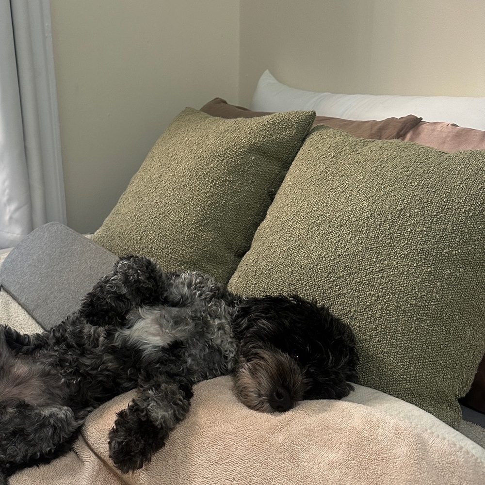 Pillow Covers - set of 2